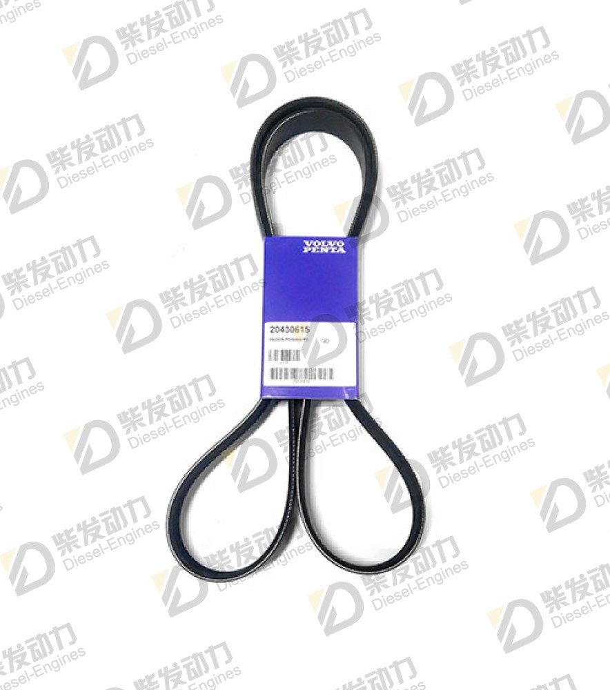 V-ribbed belt 20430615 